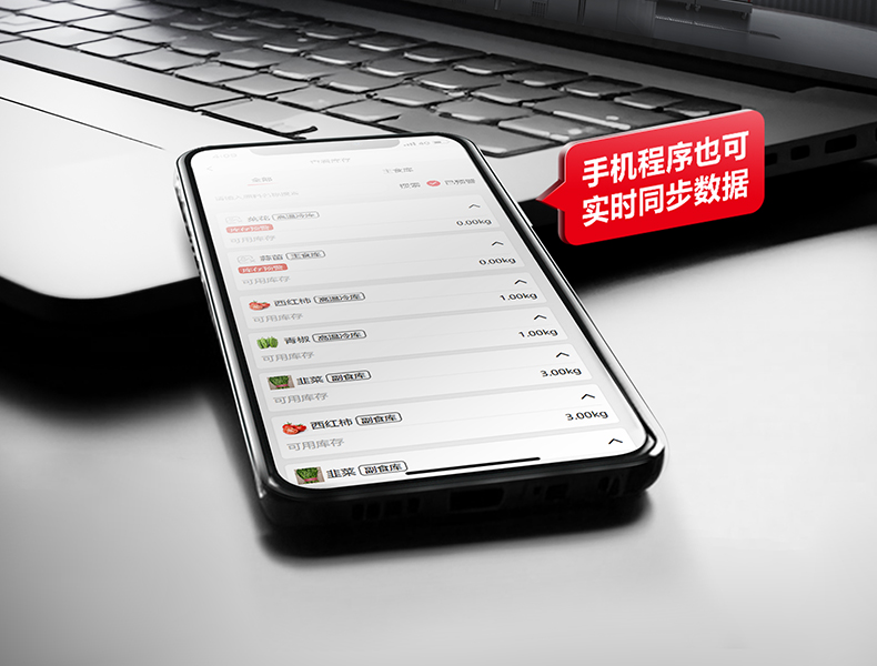 智能出入库磅秤详情图13