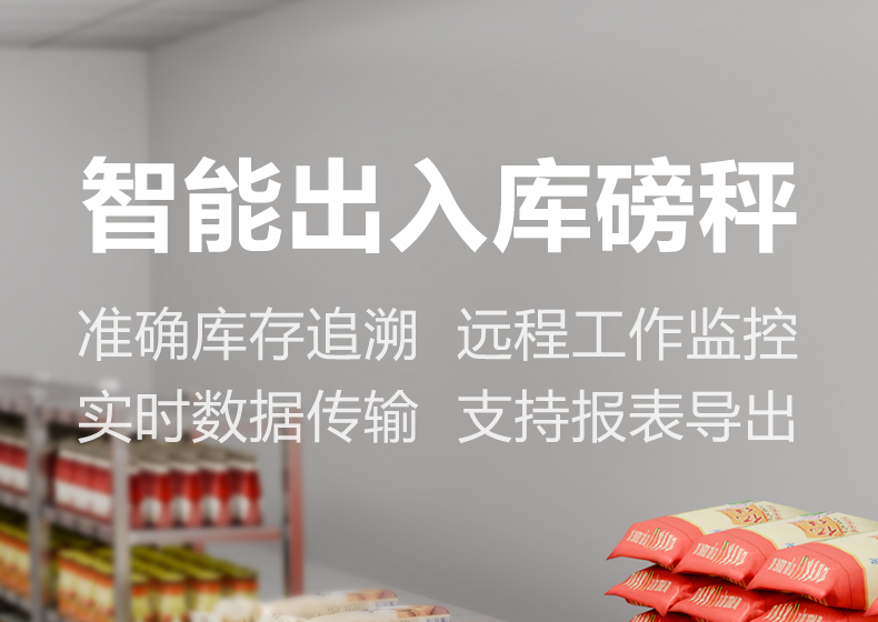 智能出入库磅秤详情图2