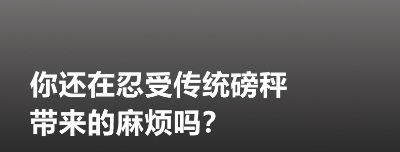 智能出入库磅秤详情图4